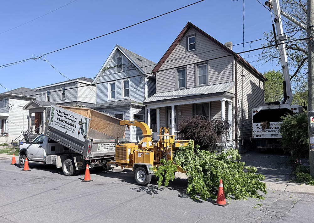 A Better View Tree Service crew and equipment on site